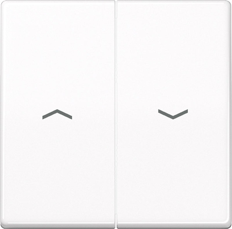 Jung as500 schakelelement centrale plaat - as591-5pww - e32r4