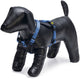 Beeztees hondentuig parinca premium y-tuig - hondenharnas kleine honden - nylon - blauw - 37-40cmx15mm