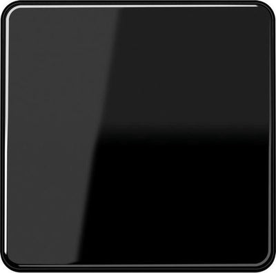 Jung cd500 schakelelement centrale plaat - cd590sw - e2v3u