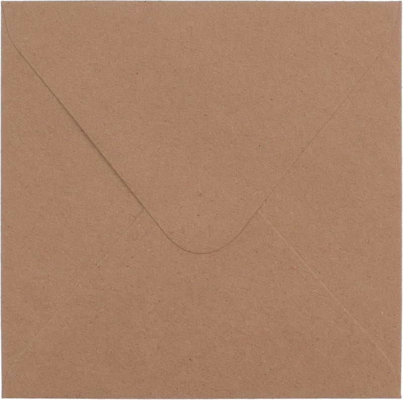 Florence vaessen creative enveloppen kraft - 21 x 11 cm - 25 st. - 120 g - met enveloppendoos zakjes