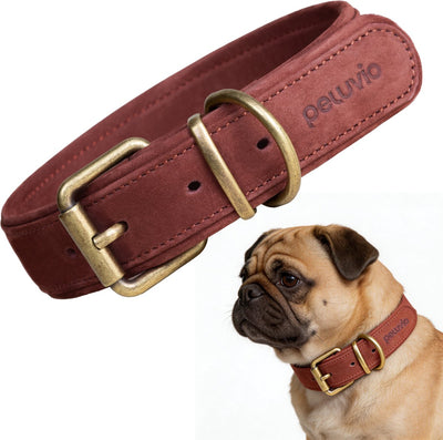 Peluvio rexor – leren hondenhalsband – bruin – s 26,5-34 cm – 2,5 cm breed – verstelbare halsband van rundleer – koperen gesp – voor kleine honden s