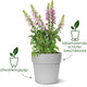 Elho vibia straight rond 40 - grote bloempot voor buiten - 100% gerecycled plastic - ø 39.0 x h 36.8 cm - antraciet