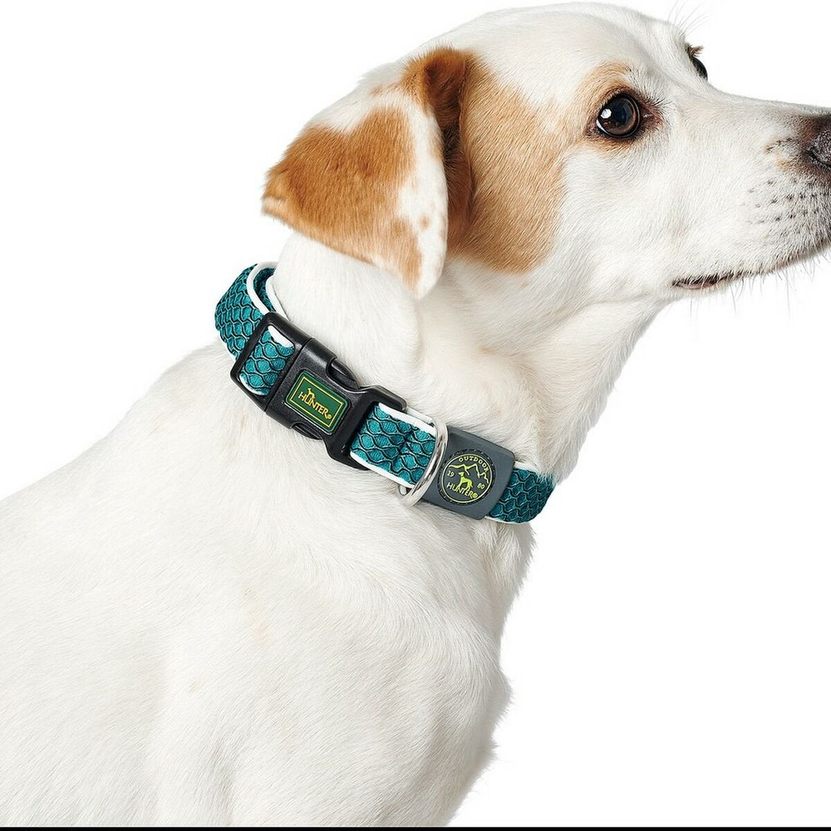 Hunter dog collar basic thread blue size m (33-50 cm)