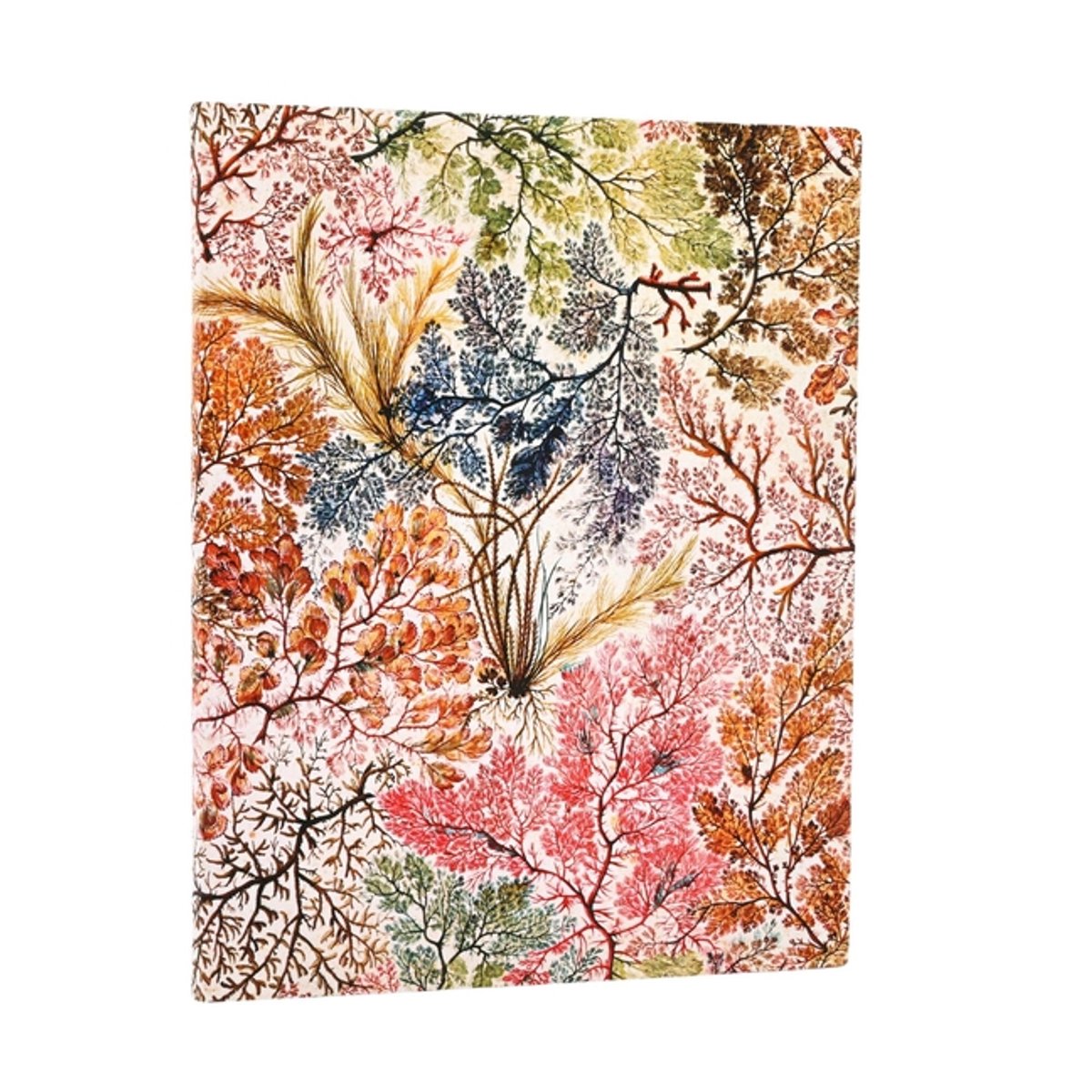 Paperblanks anemone william kilburn softcover flexis ultra unlined elastic band 176 pg 100 gsm
