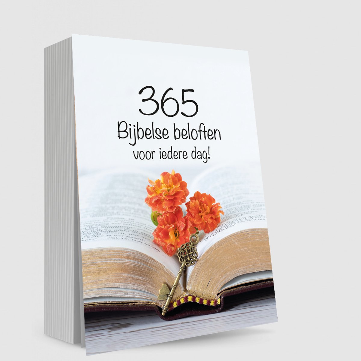 Merkloos sans marque 365 bijbelse beloften