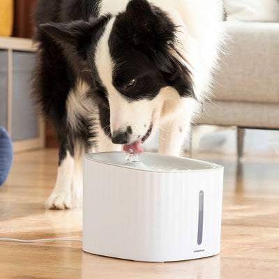 Innovagoods drinkfontein voor huisdieren drinkatt