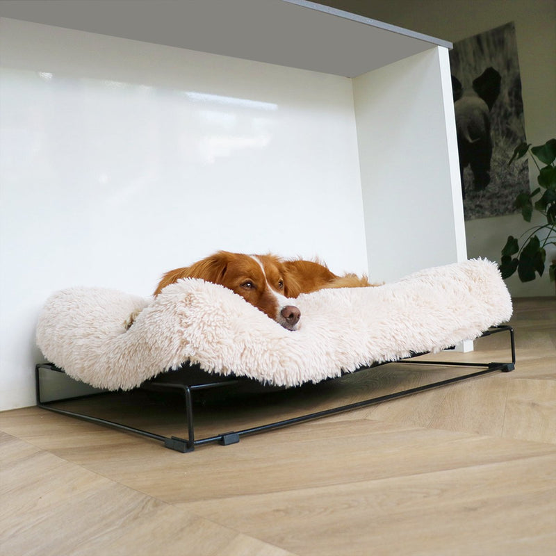 D d home - hond - amy kussen met frame l - 110x80x25cm wit - 227259