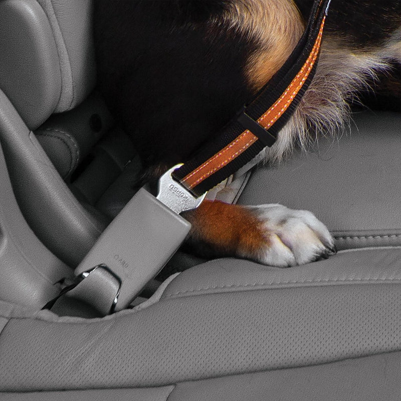 Kurgo dog seatbelt loop - veiligheidsriem met karabijnhaak - past aan elke autogordel - zwart grijs