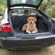 Duvo plus - dierendeken - hond - comfy koffer beschermdeken 147x120cm zwart - 1st