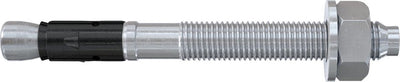 Fischer 564579 faz ii plus 10 10 boutanker 95 mm 10 mm 50 stuk(s)