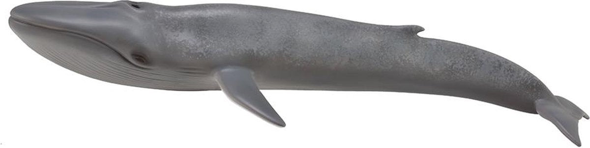 Collecta figurine - blauwe vinvis - (xl) - zeedieren - handgeschilderd - miniatuur