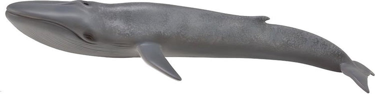 Collecta figurine - blauwe vinvis - (xl) - zeedieren - handgeschilderd - miniatuur