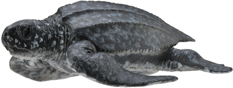 Collecta figurine - lederschildpad - (m) - zeedieren - handgeschilderd - miniatuur