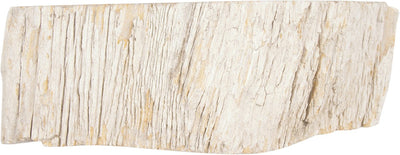 Differnz fossil waskom 45x12cm hout crã©me