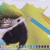 Bruynzeel parrot 45 kleurpotloden