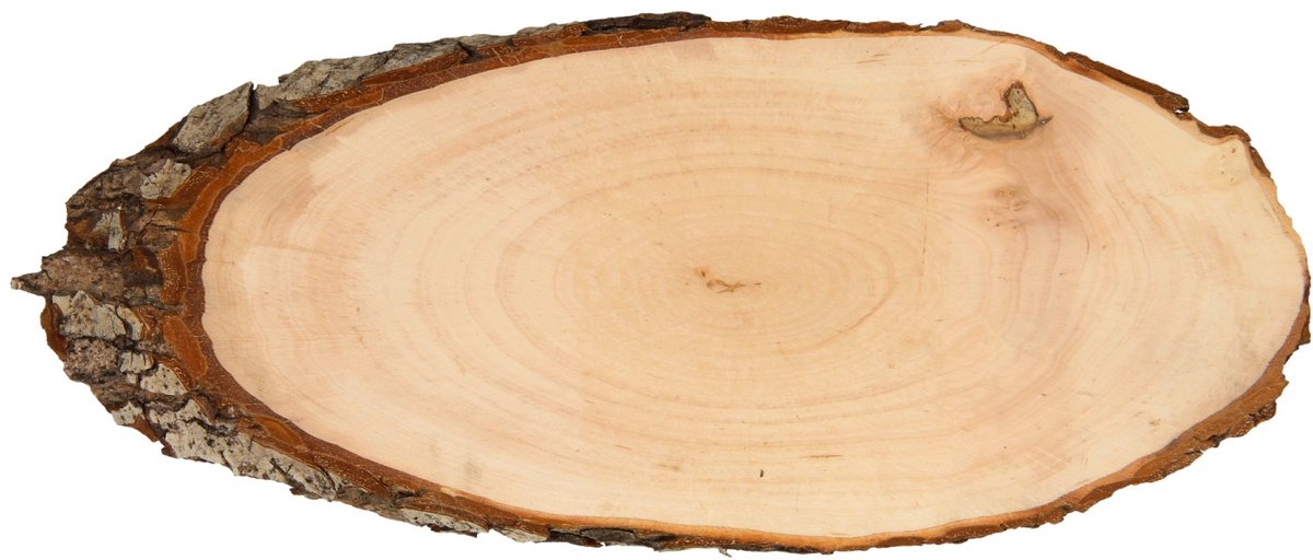 Playwood houten naambordje boomschors 30 cm creatief speelgoed.
