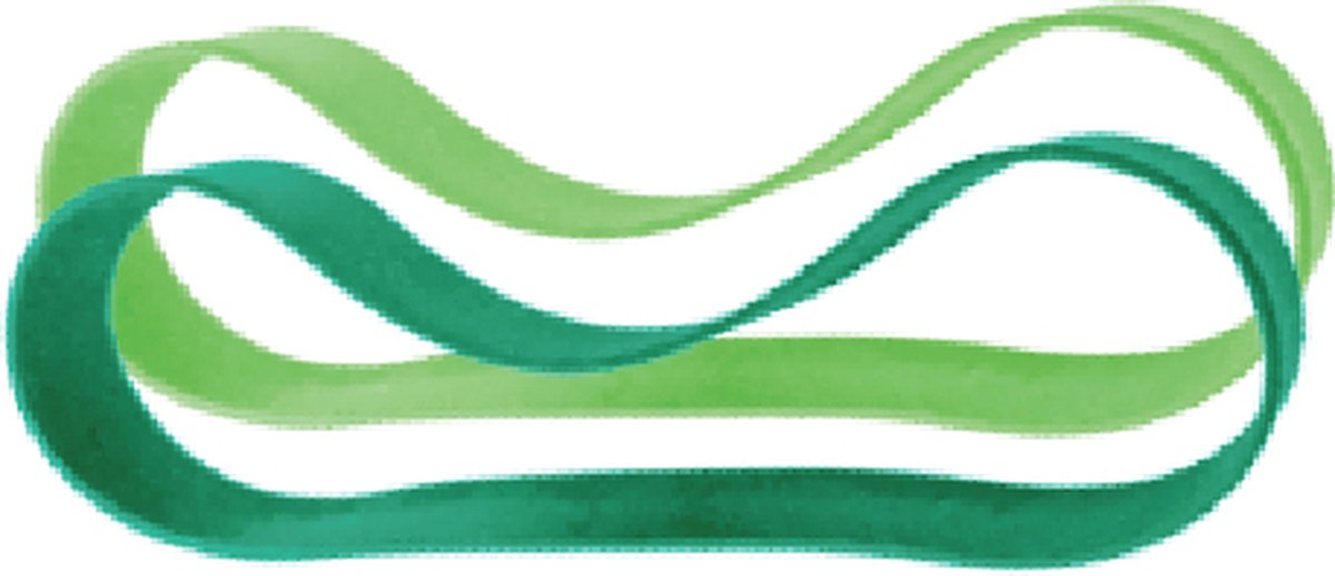 Pura silicone banden voor lunchbox - 2 stuks - mint en moss