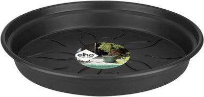 Elho green basics schotel 25 - schotel voor binnen en buiten - kweken en oogsten - ø 25.5 x h 3.6 cm - living black