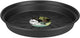 Elho green basics schotel 25 - schotel voor binnen en buiten - kweken en oogsten - ø 25.5 x h 3.6 cm - living black