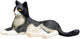 Mojo farmland liggende kat zwart wit - 387367