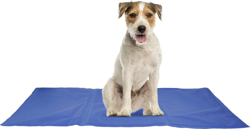 Flamingo koelmat hond – frosty – koelmatten voor honden – koelmat kat – koelmat voor honden – koelmat voor katten – 70x50 cm – blauw