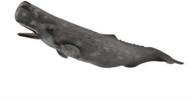 Collecta figurine - potvis - (xl) - zeedieren - handgeschilderd - miniatuur