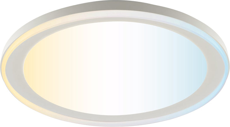 Brilliant pederson - plafondlamp - led 10w - cct - 3000k-6500k - dimbaar - nachtlicht - timer - afstandsbediening - wit