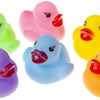 Duckiez coloured eend - 24 stuks
