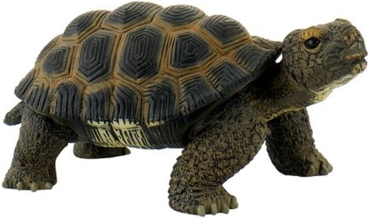 Bullyland 63553 – speelfiguur en verzamelfiguur schildpad – ca. 5 cm – levensecht en detailrijk vormgegeven – ideaal als educatief speelfiguur, taartdecoratie of klein cadeautje voor kinderen vanaf 3 jaar.