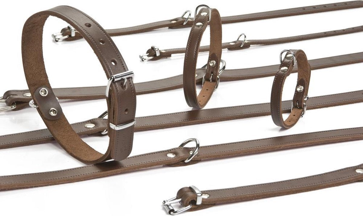 Beeztees - halsband hond - leer - bruin - 37,5-46,5 cm x 20 mm