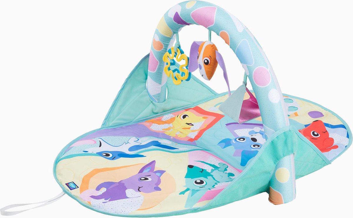 Playgro puppy and me activity travel gym