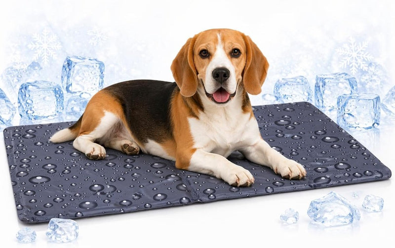 Flamingo koelmat hond - koelmat kat - m - 70x50 cm - drop grijs - verkoelende zomer mat met gel en schuim - waterdicht