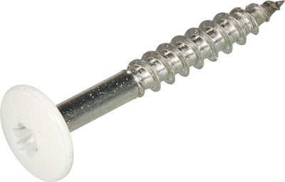 Hoenderdaal hpl schroef rvs-a2 torx tx20 zuiver wit ral9010 4.8x32 | 100 stuks - 0346.30.37324