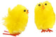 Creativ company https: www.cchobby.nl paaskuikens-h-30-mm-geel-12-stuk-1-doos