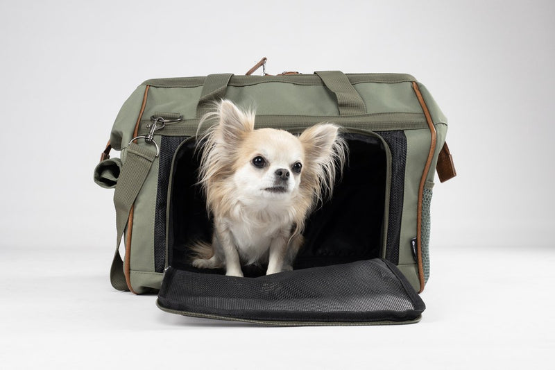 Flamingo hondendraagtas hannah groen – comfortabele draagtas hond met ventilatiegaas, opbergvakken karabijnhaak – 47x26,5x34 cm