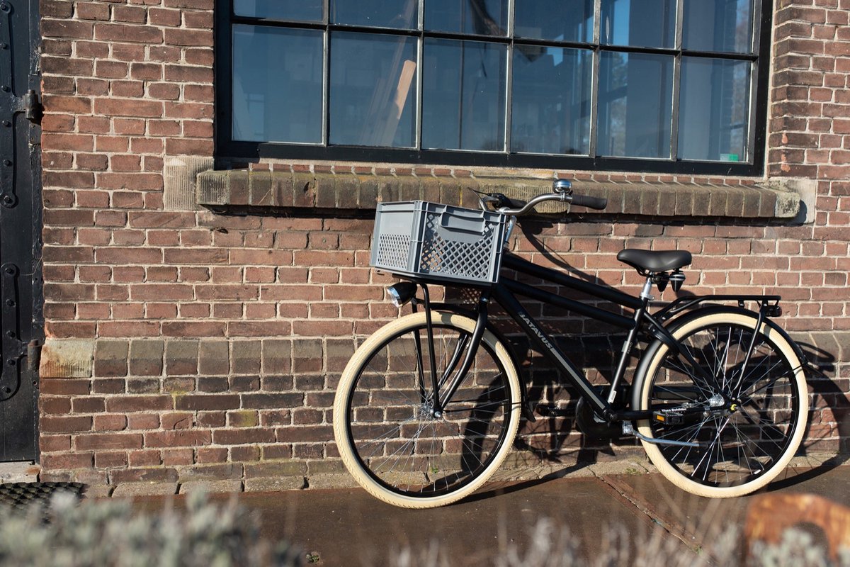 Fastrider fietskrat medium grijs