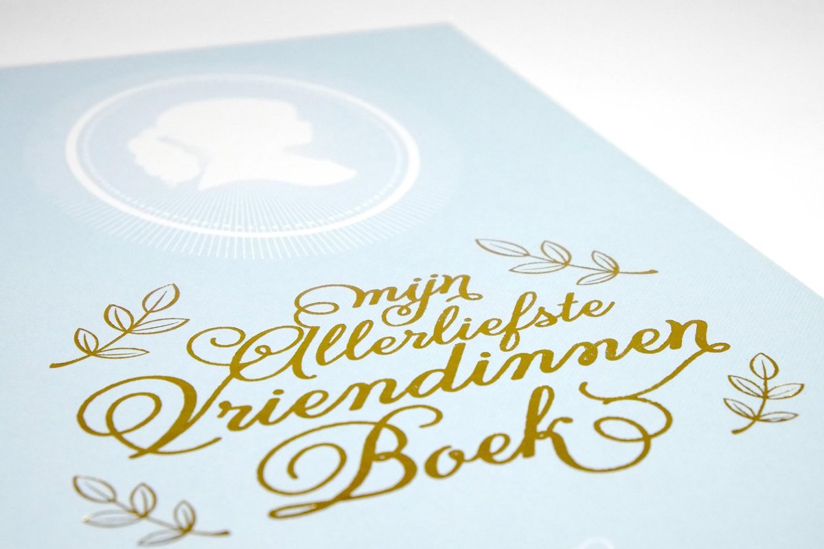 Uitgeverij stratier - mijn allerliefste vriendinnen boek - vriendenboek