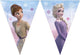Procos vegaoo - elsa frozen papieren wimpelslinger 2,3 m