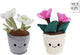 Take me home pluche plant knuffel kerstroos 24cm wit multicolor.