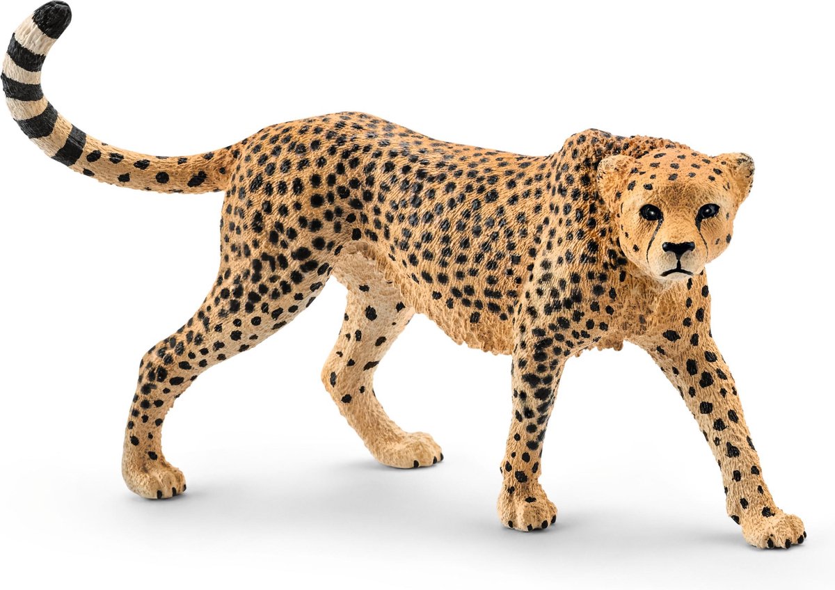 Schleich safari - luipaard, wijfje 14746