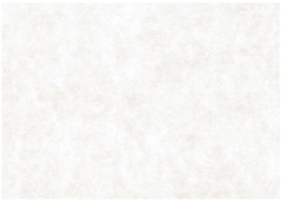Creativ company kraft papier - wit kraft tekenpapier en knutselkarton - wit gerecycled hobbypapier - hobbykarton kraft - wit papier creatief tekenen schrijven scrapbooking - a2 - 100 grams - 500 vellen