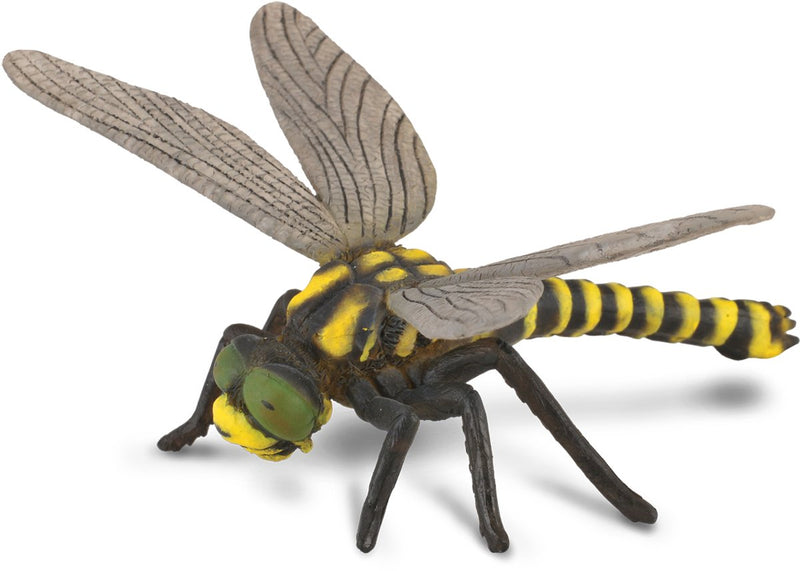 Collecta figurine - libel - (l) - insecten - handgeschilderd - miniatuur