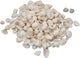 Colorations schelpen knutselpakket 500 gram - creatieve stranddecoratie.