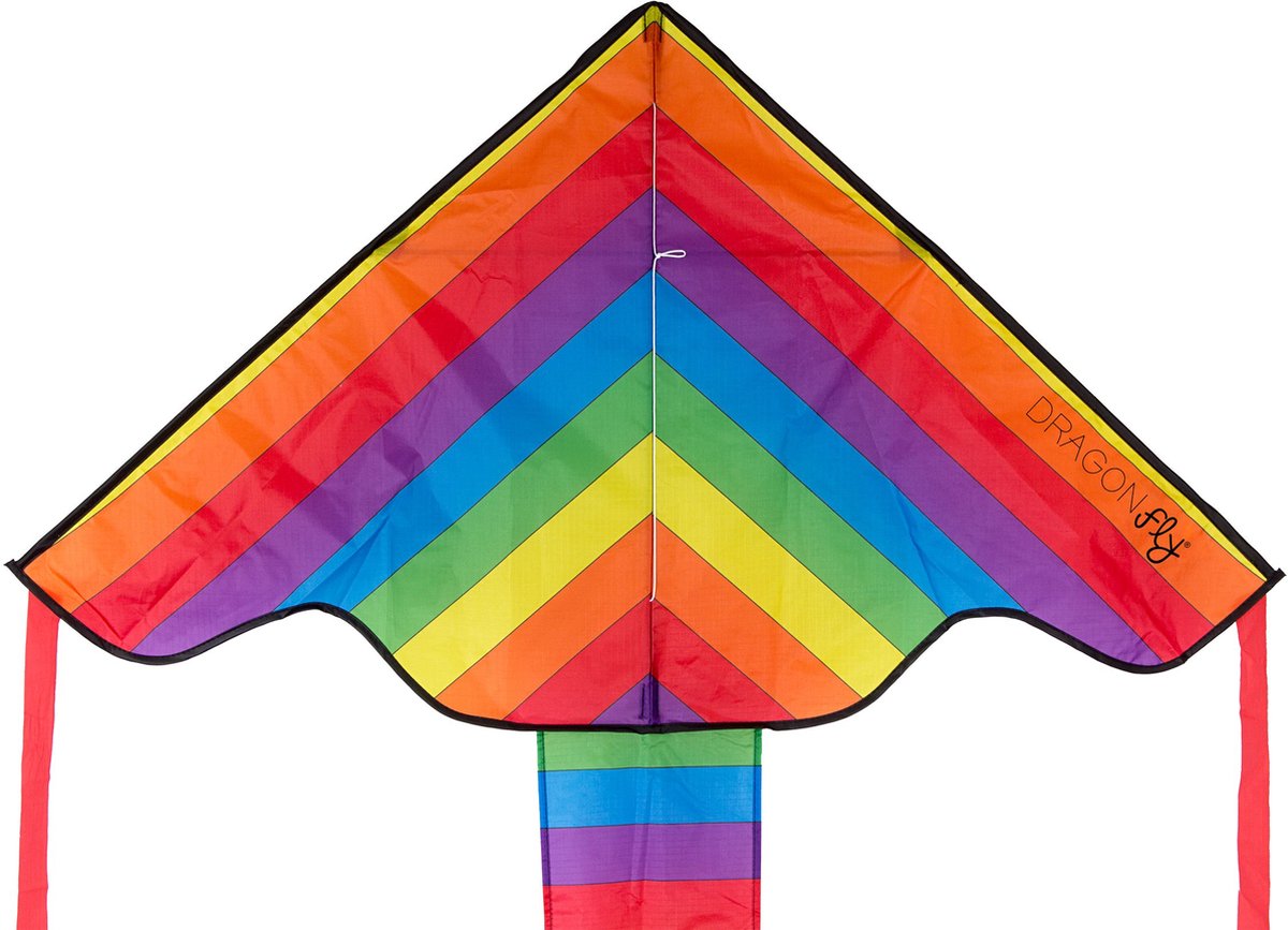 Dragon fly staartvlieger - regenboog - geel groen blauw paars rood