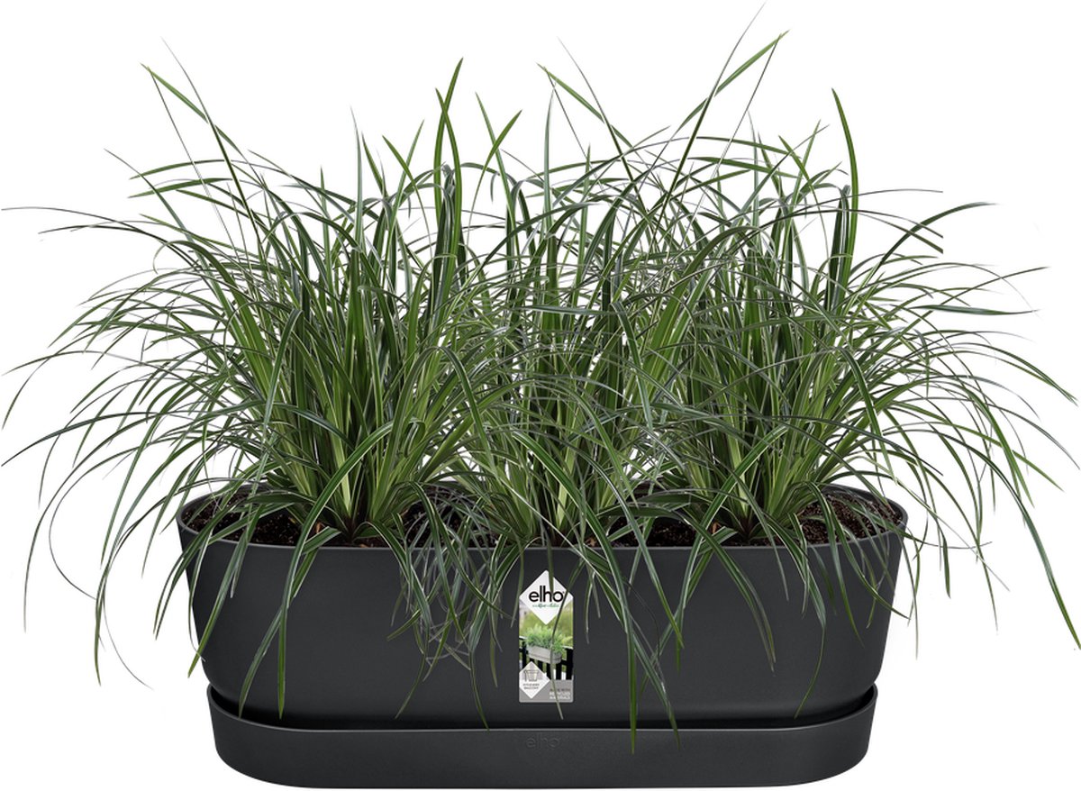 Elho greenville easy balcony 52 - balkonbak met ophanging - 100% gerecycled plastic - l52 x b21.2 x h19.4 cm - living black