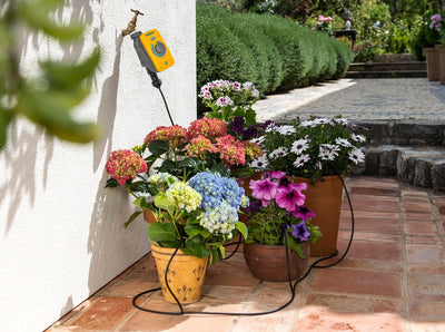 Hozelock automatische bewateringskit voor maximaal 25 (pot)planten