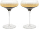 Leopold vienna - martini glas arinto - cocktailglazen - set van twee stuks