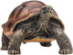 Mojo wildlife reuzenschildpad - 387259