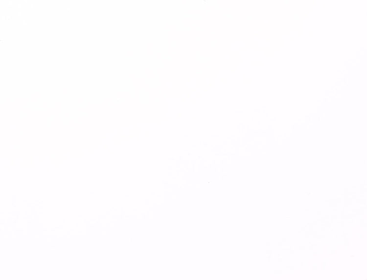 Vaessen creative florence karton - white smooth - 305x305mm - gladde textuur - 216g