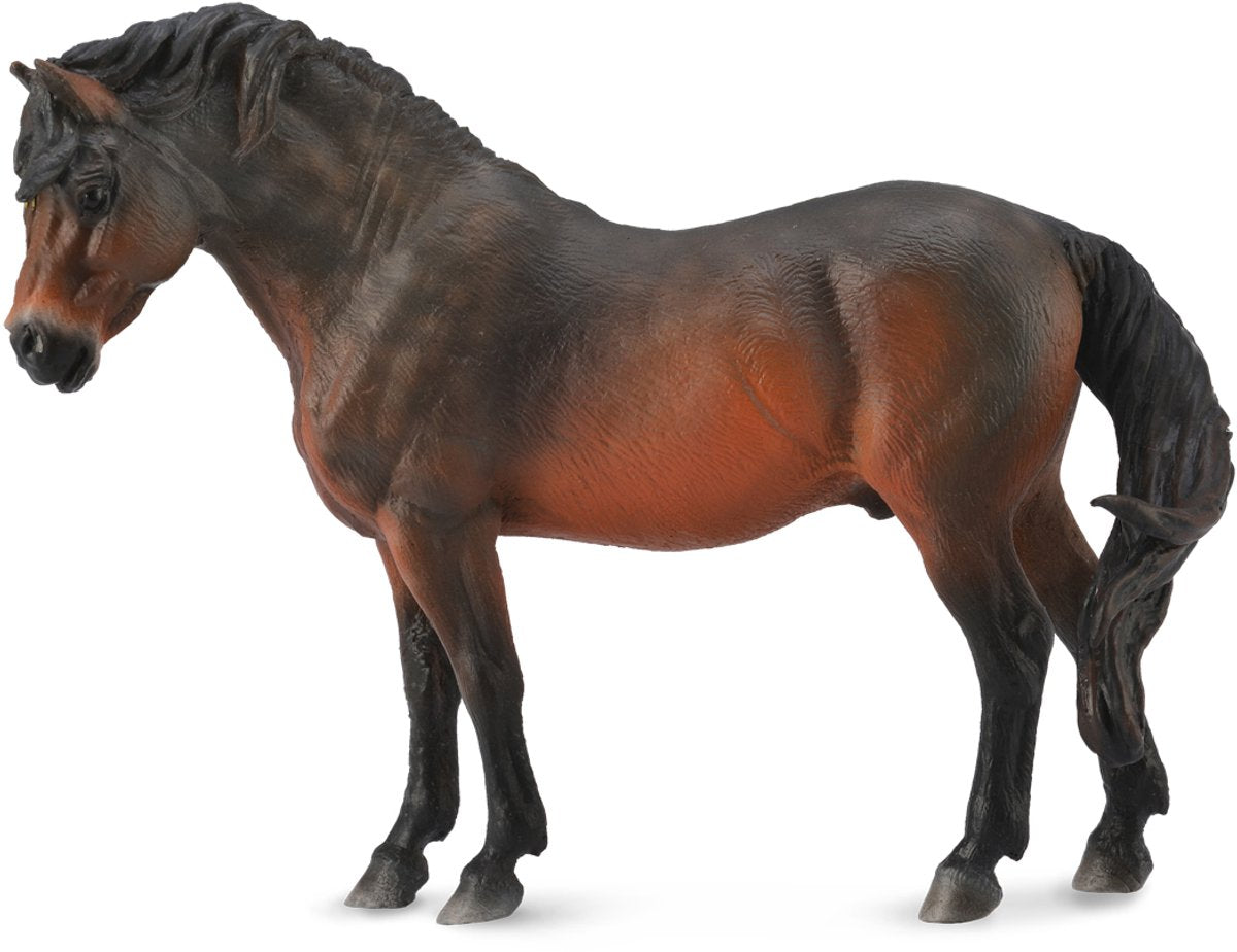 Collecta figurine - dartmoor pony voskleurig - (l) - paarden - handgeschilderd - miniatuur